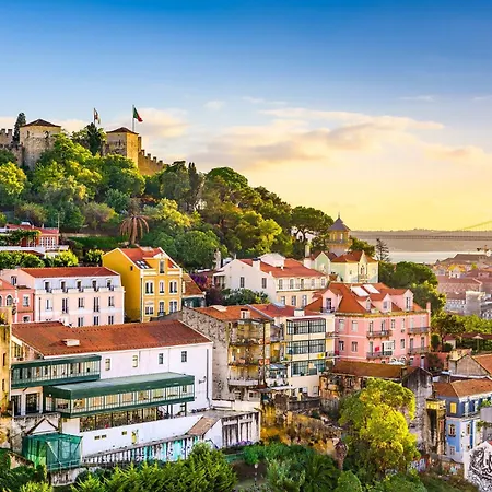 Dos Narcisos Aroeira (Setubal)